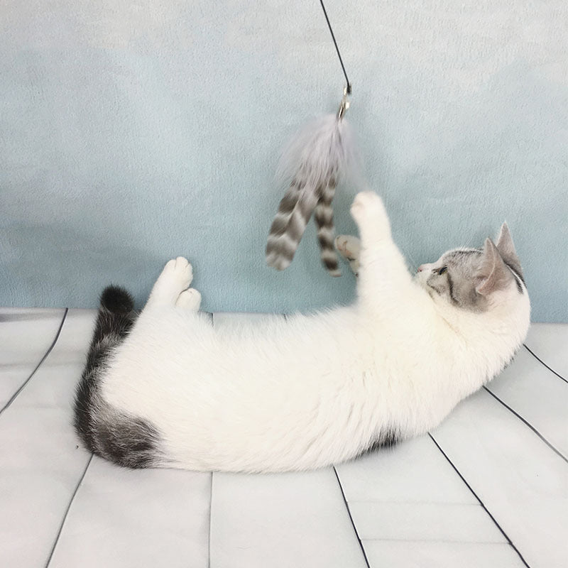Wooden Handle Cat Toy
