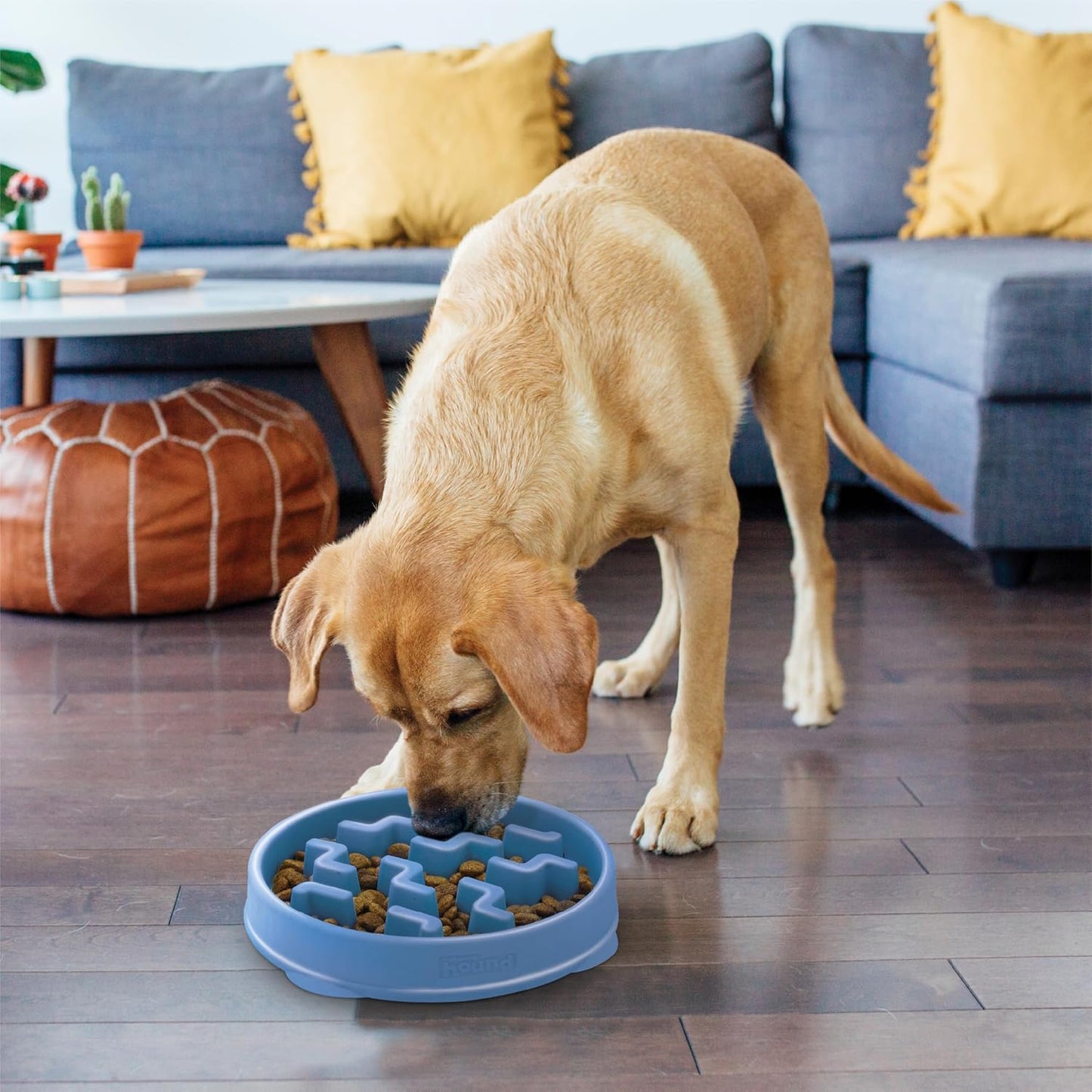 Fun Feeder Slo Bowl, Slow Feeder Dog Bowl, Large/Regular, Blue