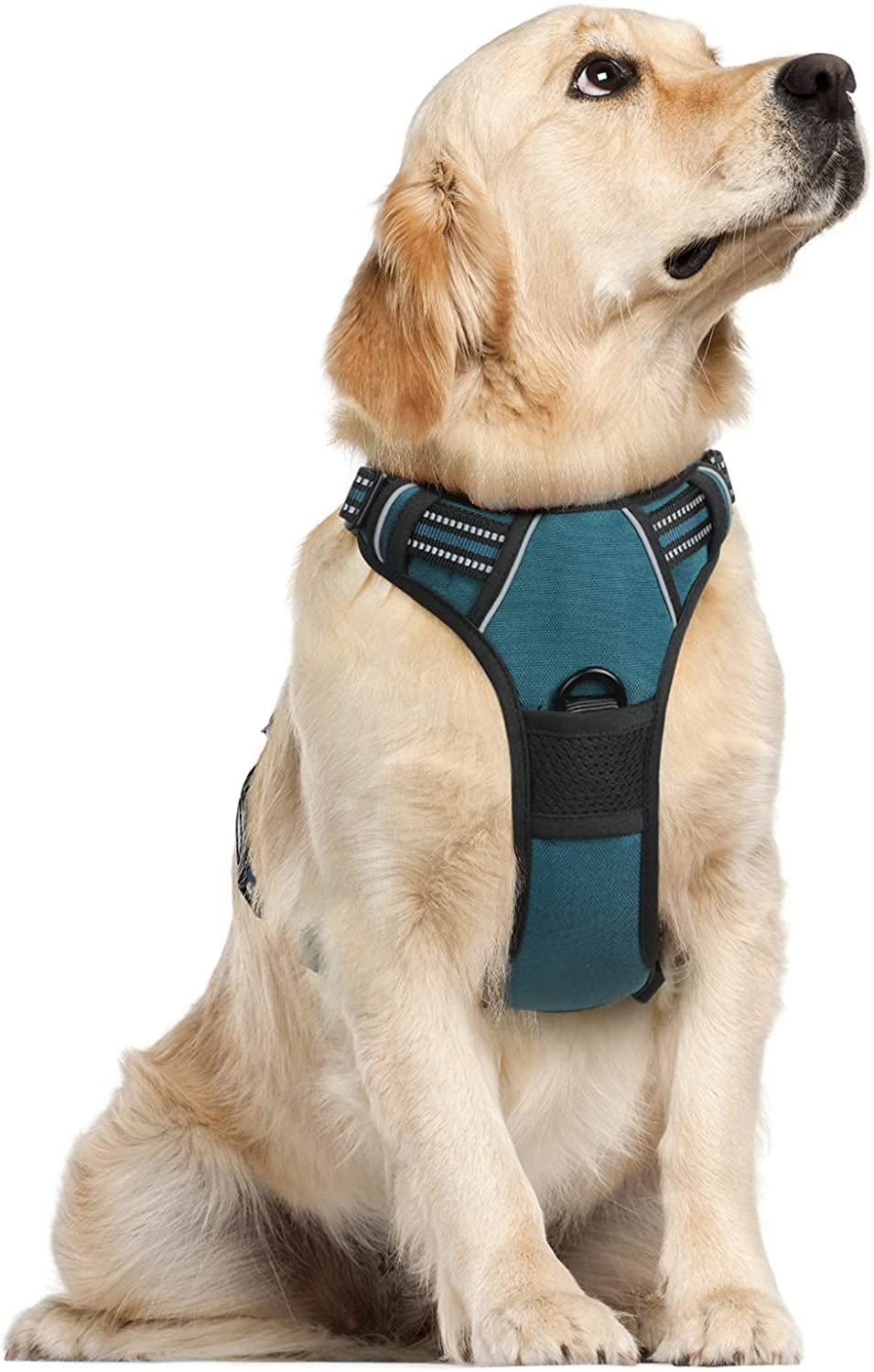 Dog Harness, No-Pull Pet Harness with 2 Leash Clips, Adjustable Soft Padded Dog Vest, Reflective No-Choke Pet Oxford Vest with Easy Control Handle for Large Dogs, Blue Coral, L