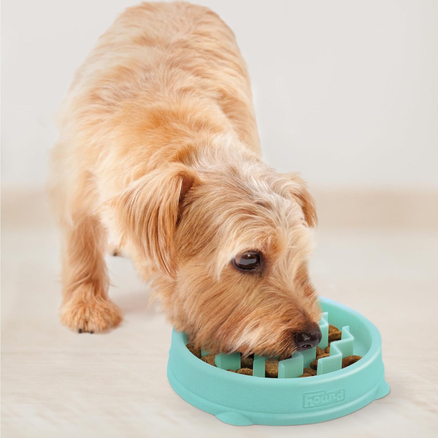 Fun Feeder Slo Bowl Slow Pet Feeder Bowl for Dogs in Mint Plastic