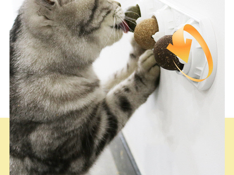 Cat Self-Play Molar Toy