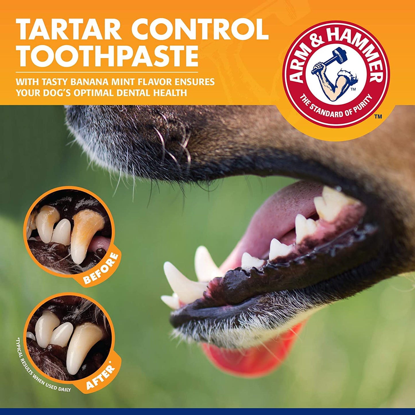 for Pets Tartar Control Kit for Dogs | Contains Toothpaste, Toothbrush & Finger brush 