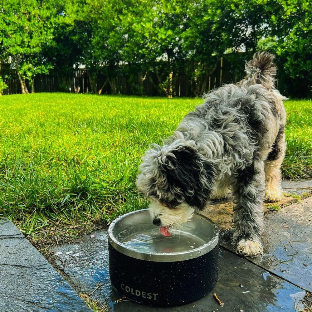 Coldest Dog Bowl - Anti Rust Metal & Non Slip Dog Bowls Large, Spill Proof Heavy Duty 3 Layers Insulated Dog Bowl - Food and Water Bowl for Dogs, Cats & Pets, Dishwasher Safe (42 Oz, Stardust Glitter)