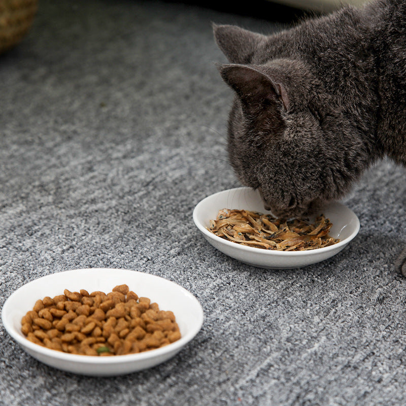 Cat Food Dish
