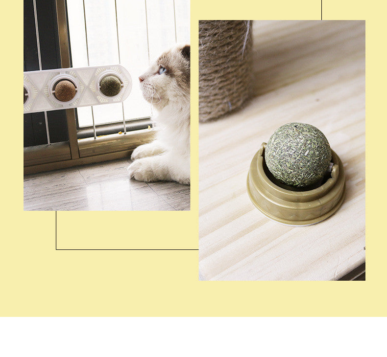 Cat Self-hey Toy Molar Supplies