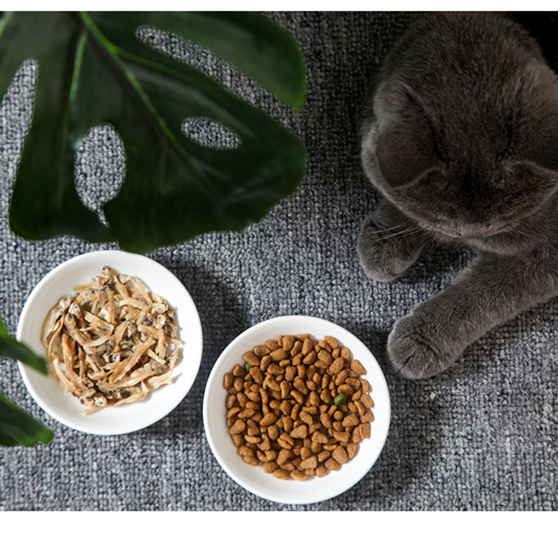 Cat Food Dish