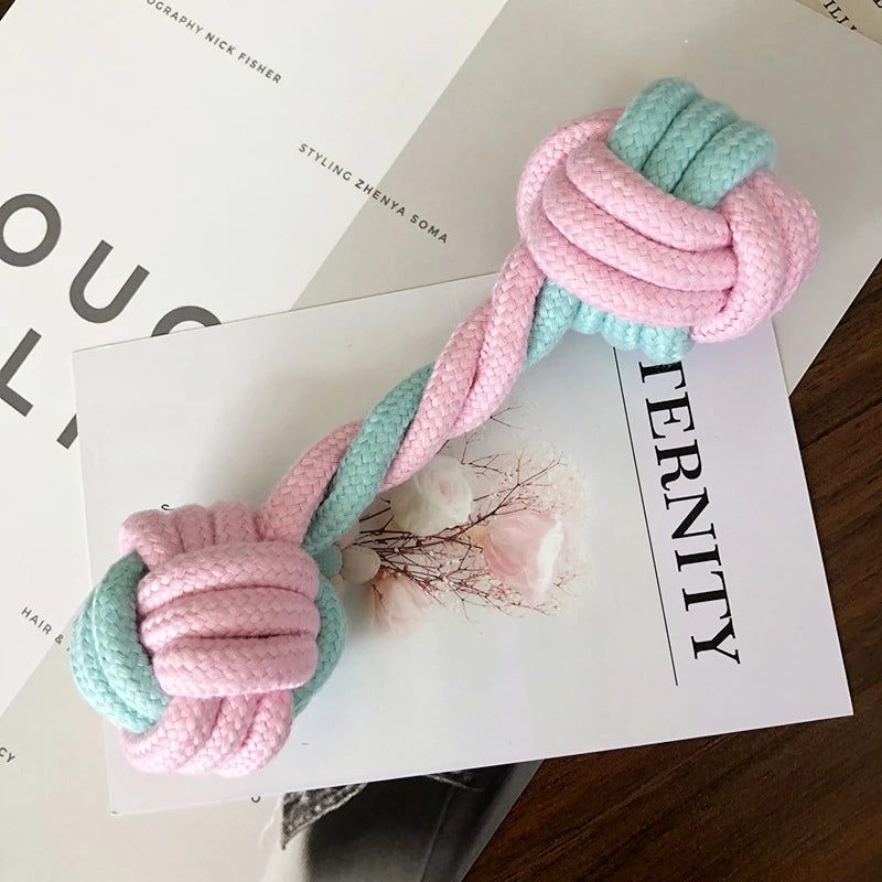 Interactive Molar Training Toy