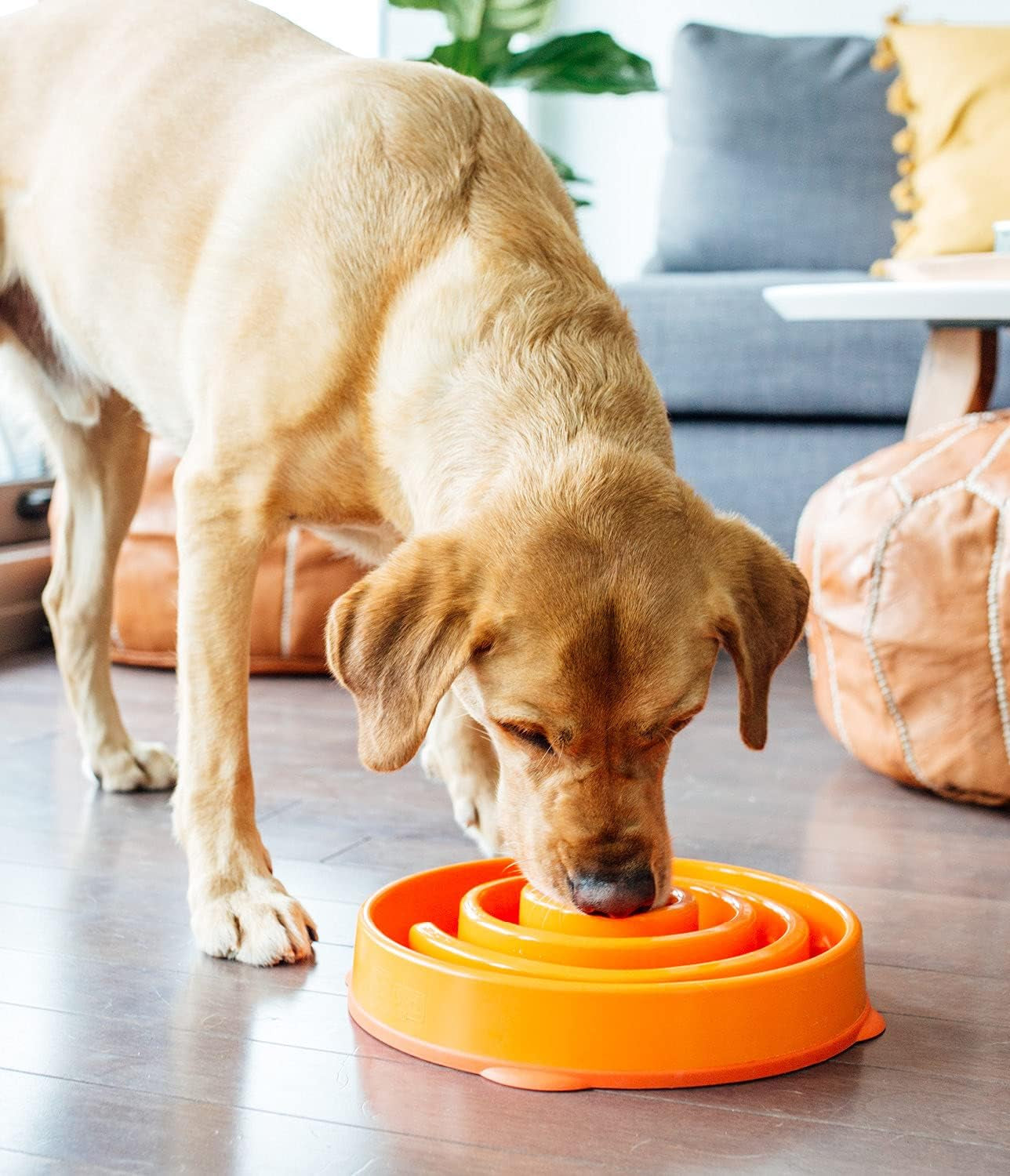 Fun Feeder Slo Bowl, Slow Feeder Dog Bowl, Large/Regular, Orange