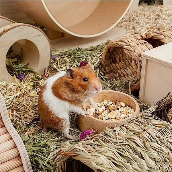 Beech Hamster Food Basin Hamster Supplies Cute Feeding Bowl