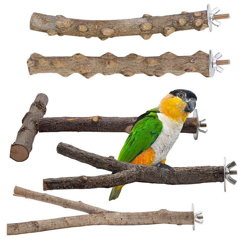 Household Fashion Bird Supplies Toys