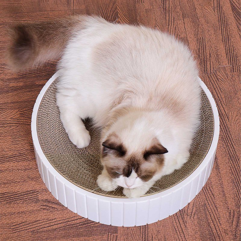 Round Cat Scratch Plate