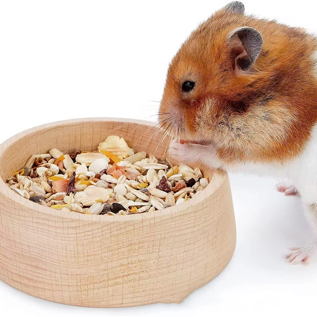 Beech Hamster Food Basin Hamster Supplies Cute Feeding Bowl