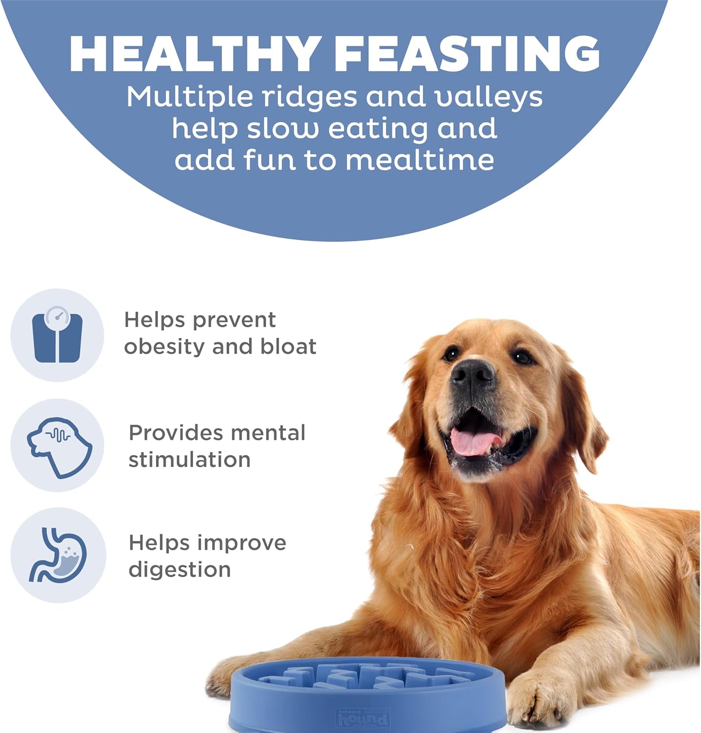 Fun Feeder Slo Bowl, Slow Feeder Dog Bowl, Large/Regular, Blue