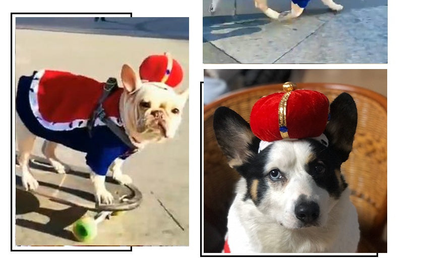 Dog Halloween Christmas Headgear Strange Headdress Supplies