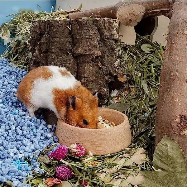 Beech Hamster Food Basin Hamster Supplies Cute Feeding Bowl