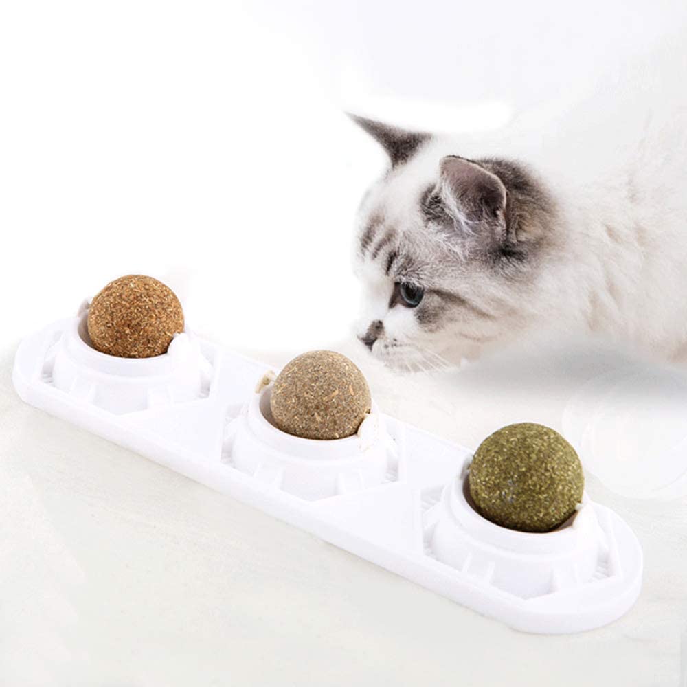 Cat Self-Play Molar Toy