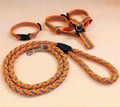 Dog Leash for Pets